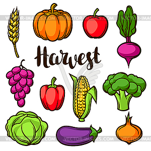 Сбор урожая фруктов и овощей. осень - стоковый клипарт