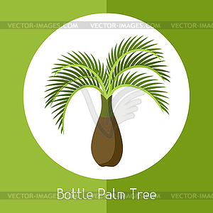 Bottle palm tree. exotic tropical plant - vector clip art