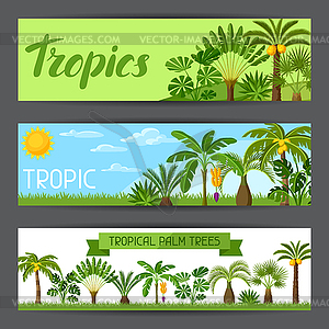 Banners with tropical palm trees. Exotic tropical - vector image