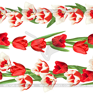 Seamless borders with red and white tulips. - vector clip art