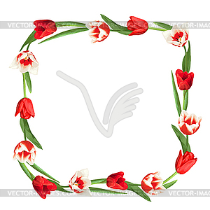 Декоративный элемент с красными и белыми тюльпанами. - изображение в формате EPS