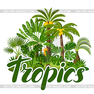 Card with tropical palm trees. Exotic tropical - vector image