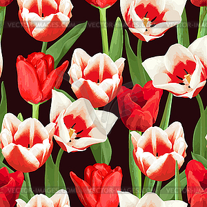 Seamless pattern with red and white tulips. - vector clip art