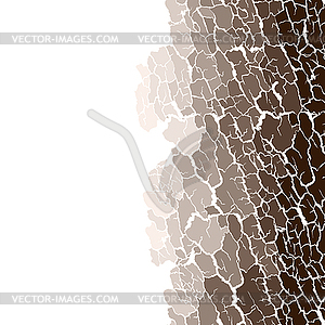 Seamless pattern of bark texture. Wood natural - vector image