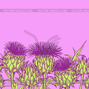 Seamless pattern with onopordum acanthium. - vector image
