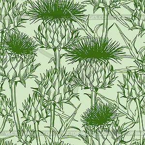 Seamless pattern with onopordum acanthium. - vector image