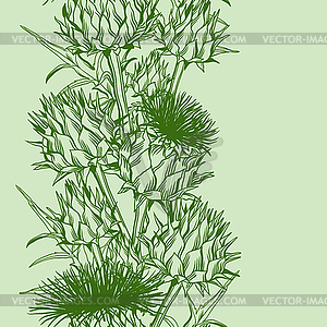 Seamless pattern with onopordum acanthium. - vector clip art