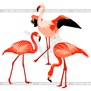 Set of flamingo. Tropical bright abstract birds - vector clipart