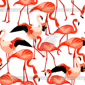 Seamless pattern with flamingo. Tropical bright - vector clip art