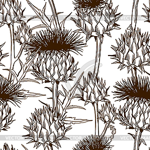 Seamless pattern with onopordum acanthium. - vector image