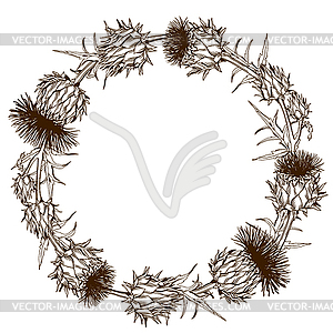 Decorative wreath with onopordum acanthium. Scottis - color vector clipart