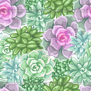 Seamless pattern with succulents. Echeveria, Jade - vector EPS clipart