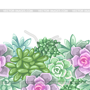 Seamless pattern with succulents. Echeveria, Jade - vector clipart