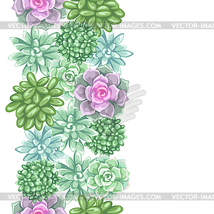 Seamless pattern with succulents. Echeveria, Jade - vector image