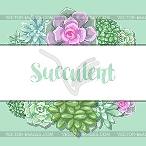 Card with succulents. Echeveria, Jade Plant and - vector image