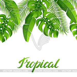 Seamless pattern with tropical palm leaves. Exotic - vector clipart