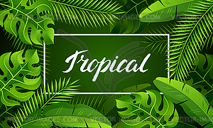 Баннер с тропическими пальмовыми листьями. Экзотический тропический - векторный графический клипарт