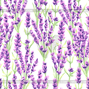 Lavender flowers seamless pattern. Watercolor - vector clipart