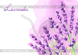 Lavender flowers background design - vector clip art