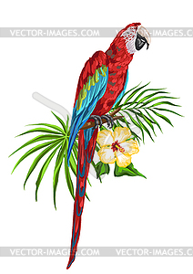 Попугай ара - векторное изображение EPS