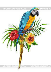 Macaw parrot - vector image