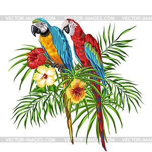 Macaw parrots - vector image