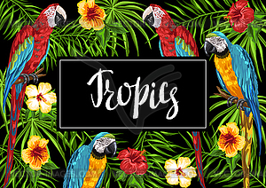 Tropical background with parrots - vector image