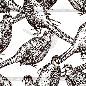 Seamless pattern with pheasants - vector image