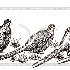 Seamless pattern with pheasants - vector image