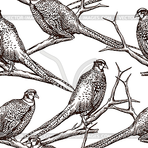 Seamless pattern with pheasants - vector clipart