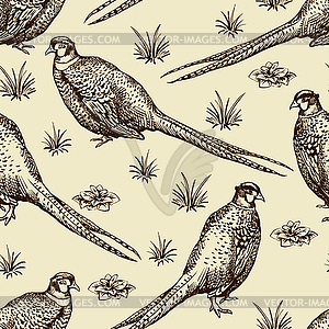 Seamless pattern with pheasants - color vector clipart