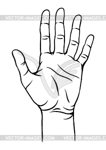 Human hand - vector clipart