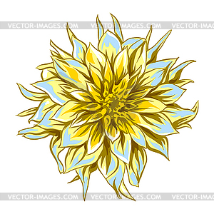 Fluffy yellow dahlia - vector clipart