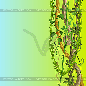 Twisted wild lianas branches background - vector image