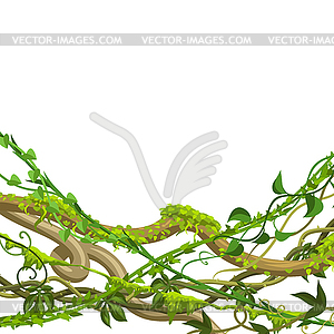 Twisted wild lianas branches background - vector clipart