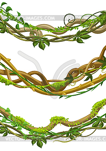 Twisted wild lianas branches set - vector image