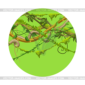 Twisted wild lianas branches background - vector image