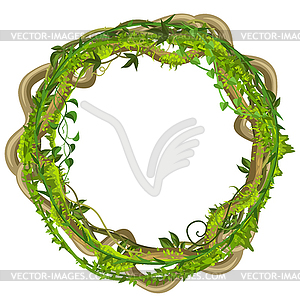 Twisted wild lianas branches frame - vector clip art