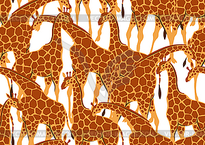 Seamless pattern with of giraffes - vector image