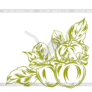Декоративный объект с яблоками и листьями - векторизованное изображение клипарта