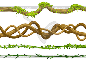 Twisted wild lianas branches set - vector clip art