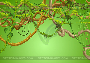 Twisted wild lianas branches background - vector clip art