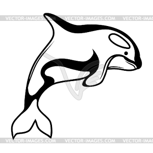 Black and white whale killer - vector clipart