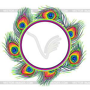 Frame with peacock feathers - vector image