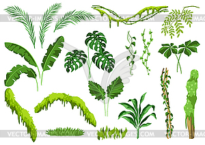 Set of jungle plants - royalty-free vector clipart