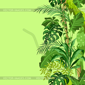 Бесшовный фон с растениями джунглей - клипарт в векторном виде