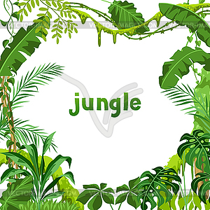 Background with jungle plants - vector clip art