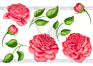 Set of red roses. Beautiful decorative flowers - vector image