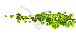 Twisted wild lianas branches background. Jungle - vector clipart