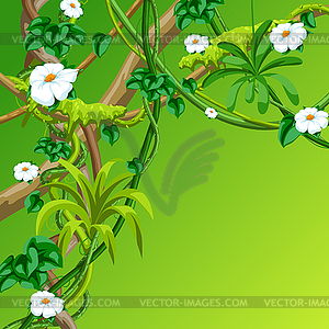 Twisted wild lianas branches background. Jungle - vector image